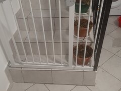 Poarta de protectie scari+extensie